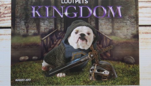 LOOT PETS AUGUST 2017: KINGDOM (REVIEW, SPOILERS)