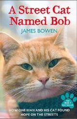 AStreetCatNamedBob