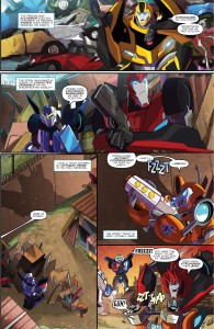 TF_RiD_NA_01-pr-page-003